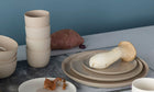 Plate 160 / Gray Clay