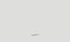 Tea Spoon / White
