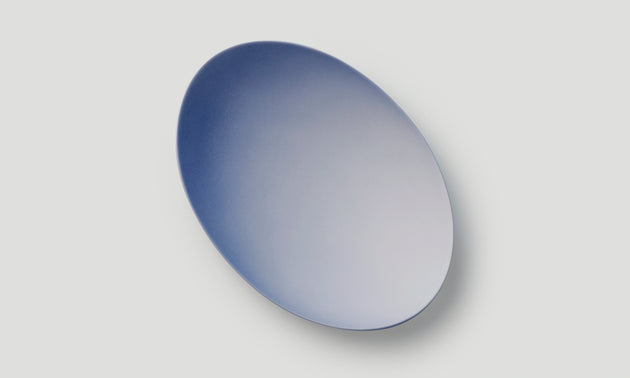 Plate 220 / Blue