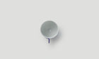 Tea Cup / Spray