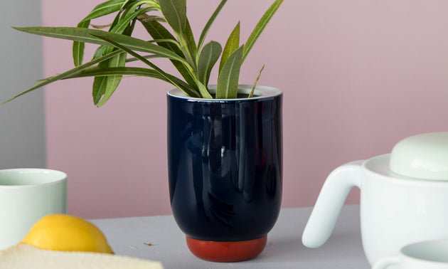 Flower Vase S / White/Dark Blue/Red